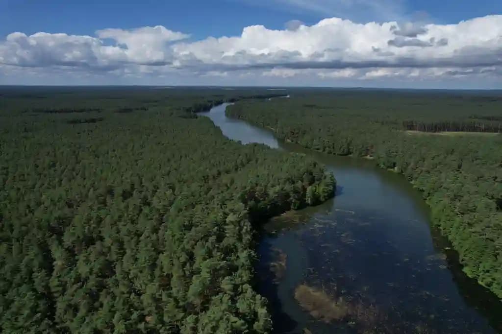 Drone terbang di atas hutan tropis di kawasan konservasi Indonesia