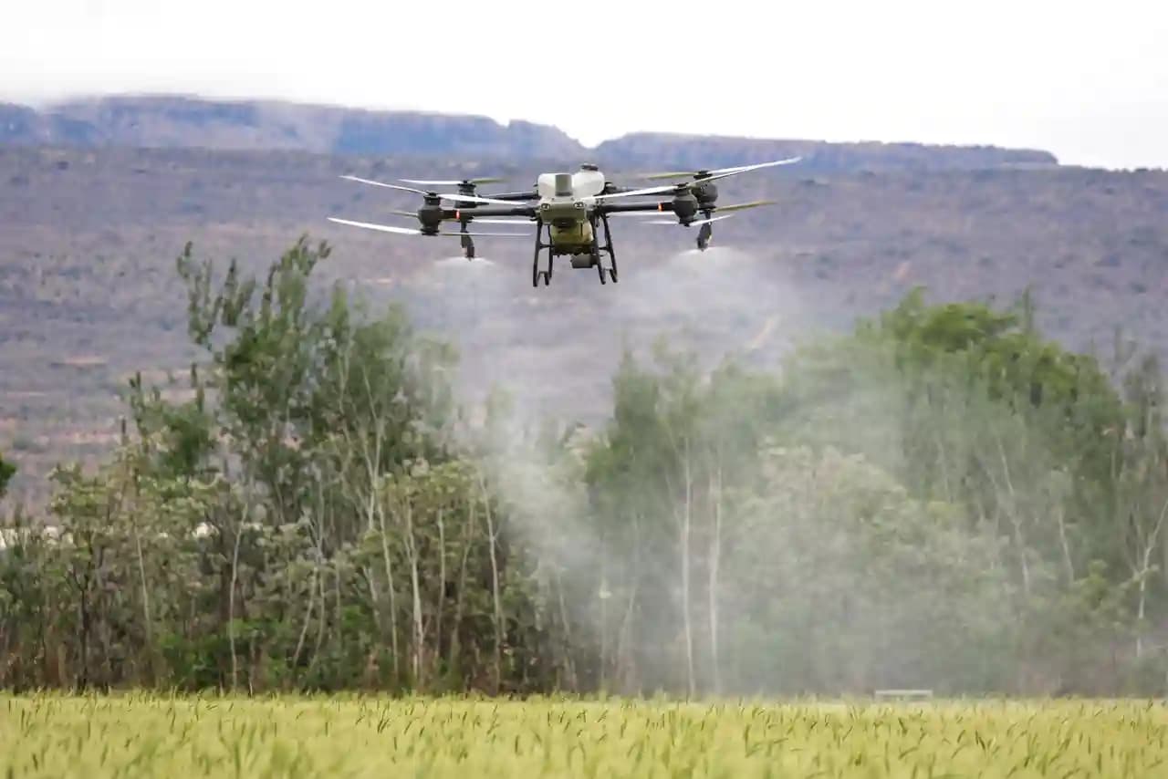 Drone terbang di atas perkebunan karet yang luas dengan kabut pagi