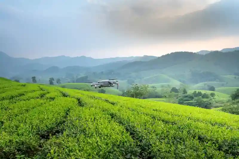 Drone industri terbang di atas area Hutan Tanaman Industri yang luas